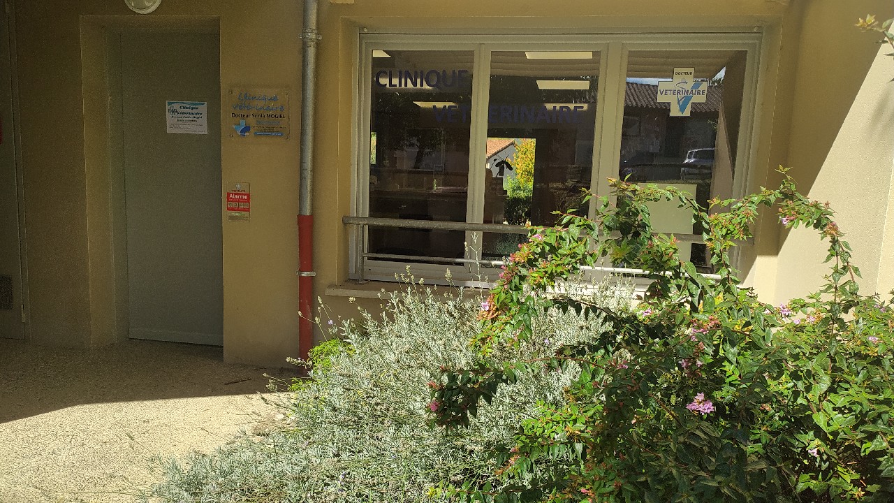 Clinique Vétérinaire